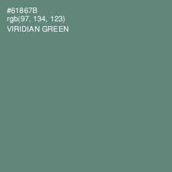 #61867B - Viridian Green Color Image