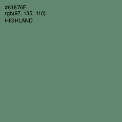 #61876E - Highland Color Image