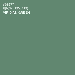 #618771 - Viridian Green Color Image