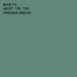 #61877C - Viridian Green Color Image