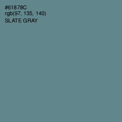 #61878C - Slate Gray Color Image