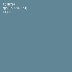 #618797 - Hoki Color Image