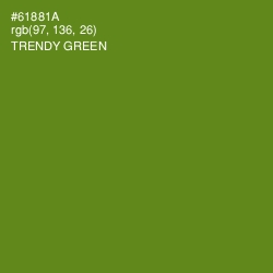 #61881A - Trendy Green Color Image