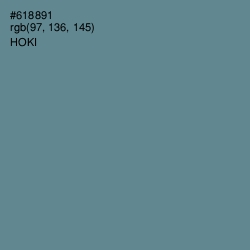 #618891 - Hoki Color Image