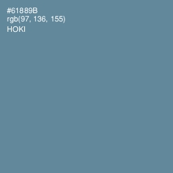 #61889B - Hoki Color Image