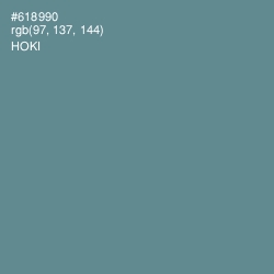 #618990 - Hoki Color Image