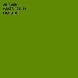 #618A06 - Limeade Color Image