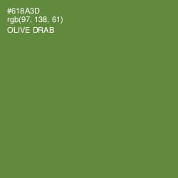 #618A3D - Olive Drab Color Image