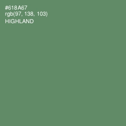 #618A67 - Highland Color Image