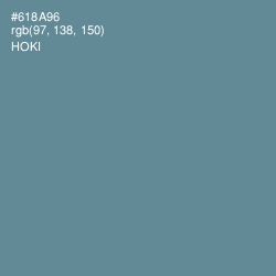 #618A96 - Hoki Color Image