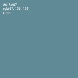 #618A97 - Hoki Color Image