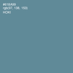 #618A99 - Hoki Color Image