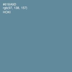 #618A9D - Hoki Color Image