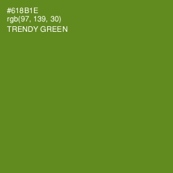 #618B1E - Trendy Green Color Image
