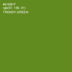 #618B1F - Trendy Green Color Image