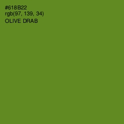 #618B22 - Olive Drab Color Image