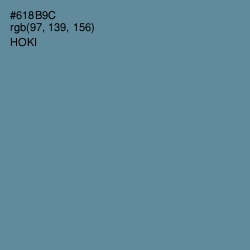 #618B9C - Hoki Color Image