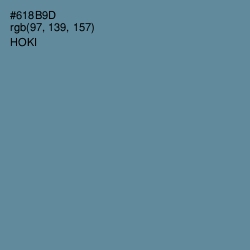 #618B9D - Hoki Color Image