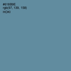 #618B9E - Hoki Color Image