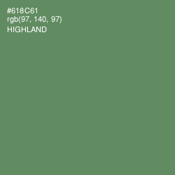 #618C61 - Highland Color Image