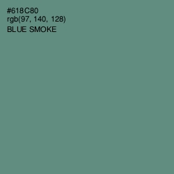 #618C80 - Blue Smoke Color Image