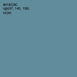 #618C9C - Hoki Color Image