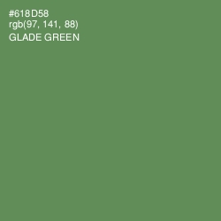 #618D58 - Glade Green Color Image