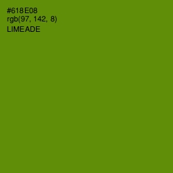 #618E08 - Limeade Color Image