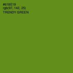 #618E19 - Trendy Green Color Image