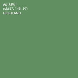 #618F61 - Highland Color Image