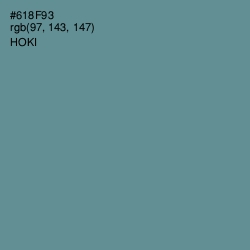 #618F93 - Hoki Color Image