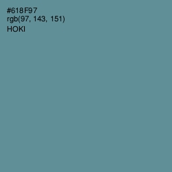 #618F97 - Hoki Color Image