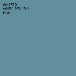 #618F9D - Hoki Color Image