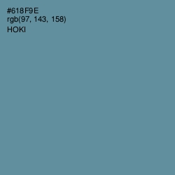 #618F9E - Hoki Color Image