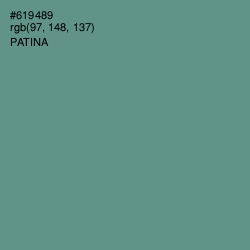 #619489 - Patina Color Image