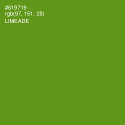 #619719 - Limeade Color Image