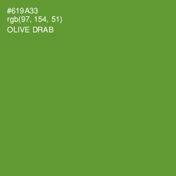 #619A33 - Olive Drab Color Image
