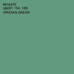 #619A7E - Viridian Green Color Image