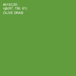 #619C3D - Olive Drab Color Image