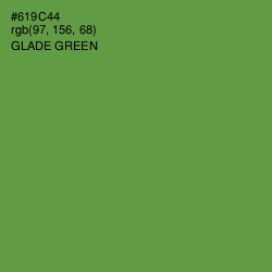 #619C44 - Glade Green Color Image