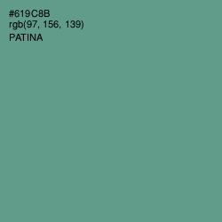 #619C8B - Patina Color Image