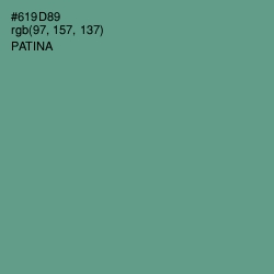 #619D89 - Patina Color Image