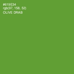 #619E34 - Olive Drab Color Image