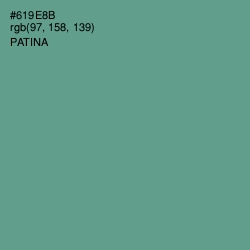 #619E8B - Patina Color Image
