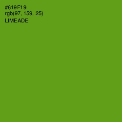 #619F19 - Limeade Color Image