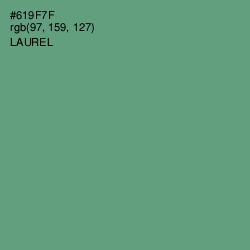 #619F7F - Laurel Color Image