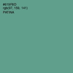 #619F8D - Patina Color Image