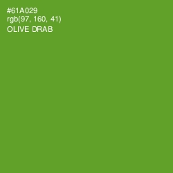 #61A029 - Olive Drab Color Image