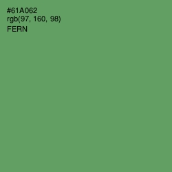 #61A062 - Fern Color Image