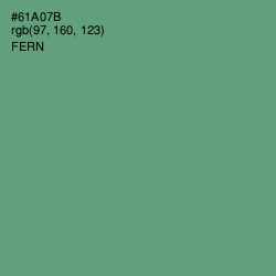 #61A07B - Fern Color Image